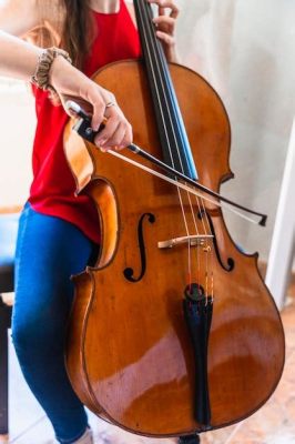 bass meaning in music: Delving into the Depths of Musical Foundation and Its Diverse Expressions